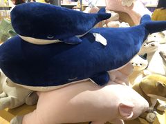 -九木杂物社(中心店)