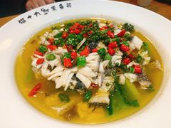藤椒鱼-三猫黑鱼花(南大店)