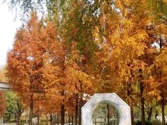 -唐城墙遗址公园