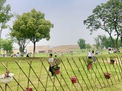 -盘龙城国家考古遗址公园