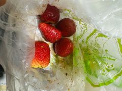 -雪儿钱局泡菜