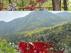 -沂蒙山旅游区云蒙景区(蒙山国家森林公园)