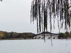 -长广溪湿地公园