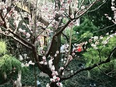 -龙华寺