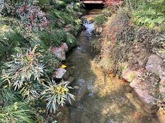 -中国茶叶博物馆(双峰馆区)