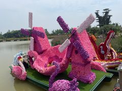 -荷兰花海