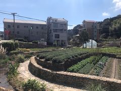 -军营村