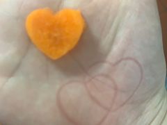 -小龙坎老火锅(北京三里屯店)