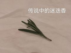 -懒鱼时光馆(沙坪坝店)
