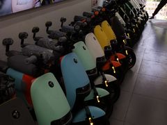 -九号电动车(安定门内大街店)