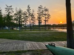 -春花秋色城市公园