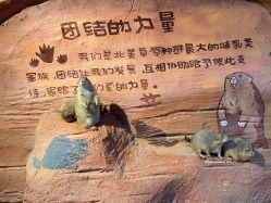 点击看大图 -奇幻萌宠部落(映月湖环宇城店)