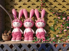 -三忘湖 SWANSEEN(柳荫公园店)