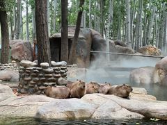-北京野生动物园