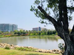 -宝安西湾红树林湿地公园