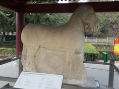 -茂陵博物馆