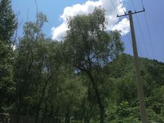 -云岫谷自然风景区