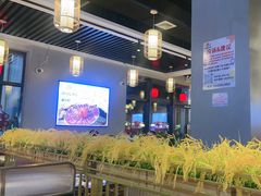 -小肥牛潮汕牛肉火锅(南联店)
