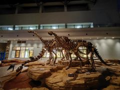 -自贡恐龙博物馆