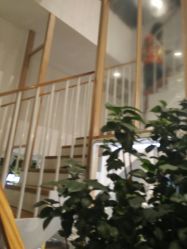 -悦诗风吟innisfree
