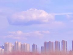 -尚贤河湿地