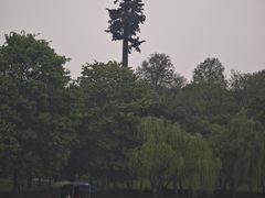 -蠡湖大桥公园