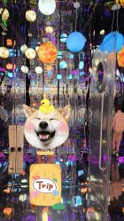 -疯狂冒险家-亲子密室-东坝店(金隅嘉品店)