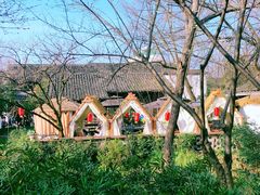 -西溪国家湿地公园