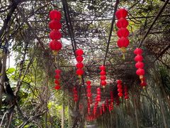 -广东茂名森林公园