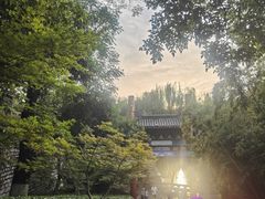 -环城公园
