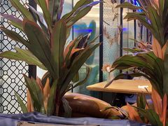 -阿斯牛牛·凉山菜(新会展店)