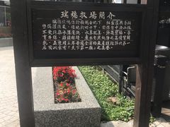 -瑞穗牧场