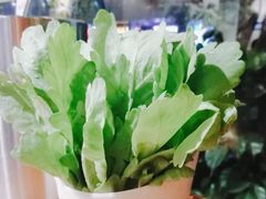 茼蒿-串掌门砂锅串串香(后瑞店)