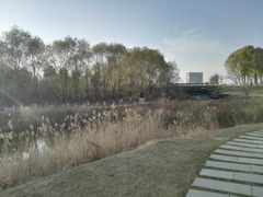 -长春世界雕塑园冰雪艺术天地