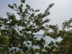 -星海湾跨海大桥