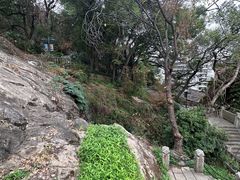 -乌山风景区