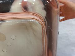 -瑞鹏宠物医院·普外科·影像科·皮肤科(城市山谷分院)