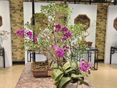 -石家庄市植物园