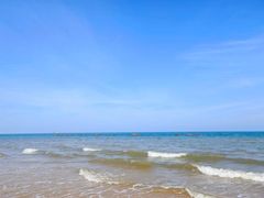 -渡海小渔村.老辈日照菜