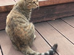 -UNI UNI(环亚凯瑟琳店)