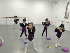 -西安小天鹅艺术团(金花路校区)