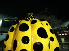-弥荣会馆日本传统艺能表演