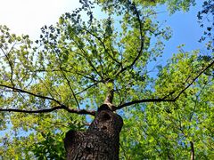 -平湖九龙山旅游度假区