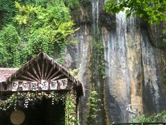 -西双版纳原始森林公园