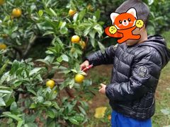 -南北湖风景区