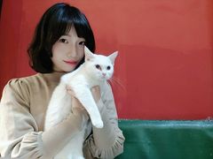 -猫色咖啡·猫咖