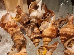 -深圳凯宾斯基酒店