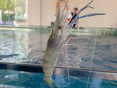 -SHRIMP CLUB万东餐饮钓虾·清吧