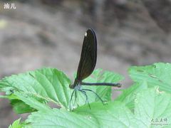 -碓臼峪自然风景区