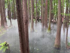 -东湖落雁景区